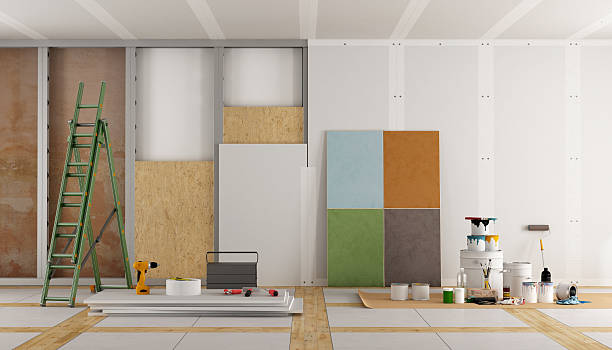 Trusted Nederland, TX Mold Removal Experts