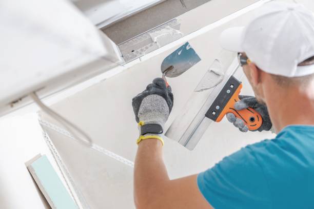 Best Mold Documentation for Insurance Claims  in Nederland, TX